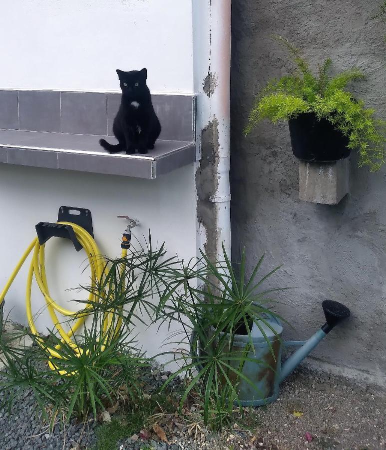 Chambre Avec Cuisine Et Sdb Semi-Privatives Separees Dans Un Ecrin De Verdure Les Abymes Eksteriør billede